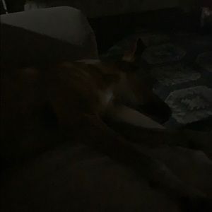 Meet your Posher, Bryan